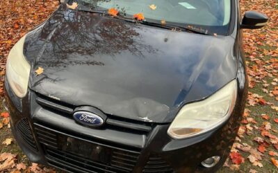 Help the Planet: Eco-Friendly Scrapping Bonus