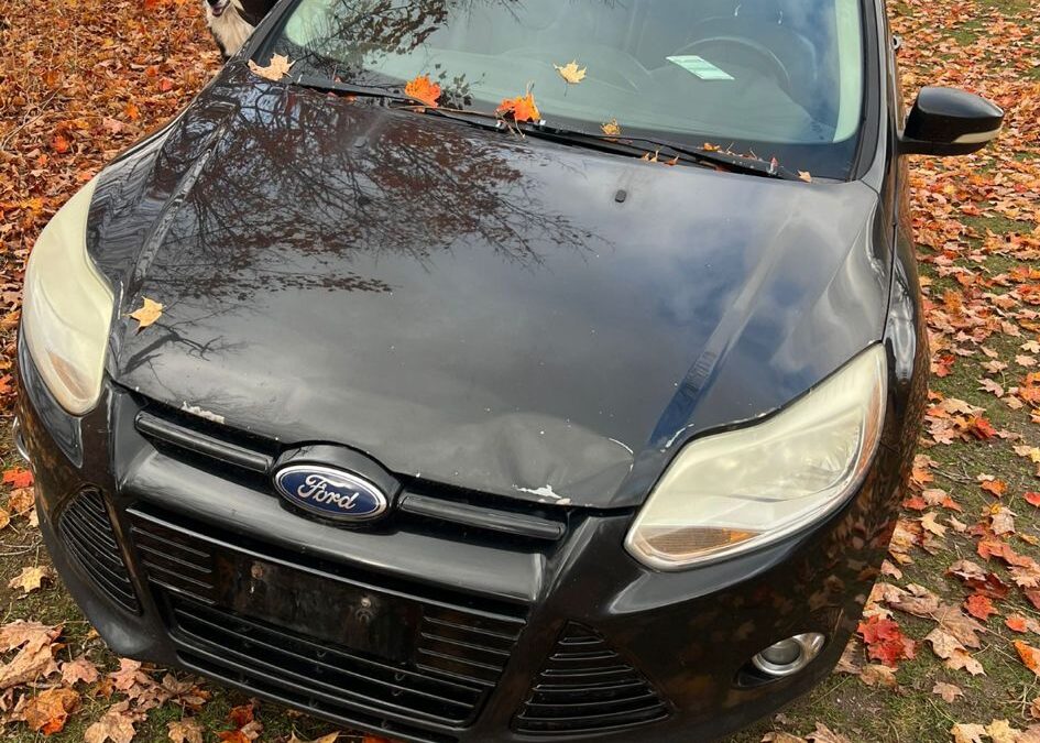 Help the Planet: Eco-Friendly Scrapping Bonus